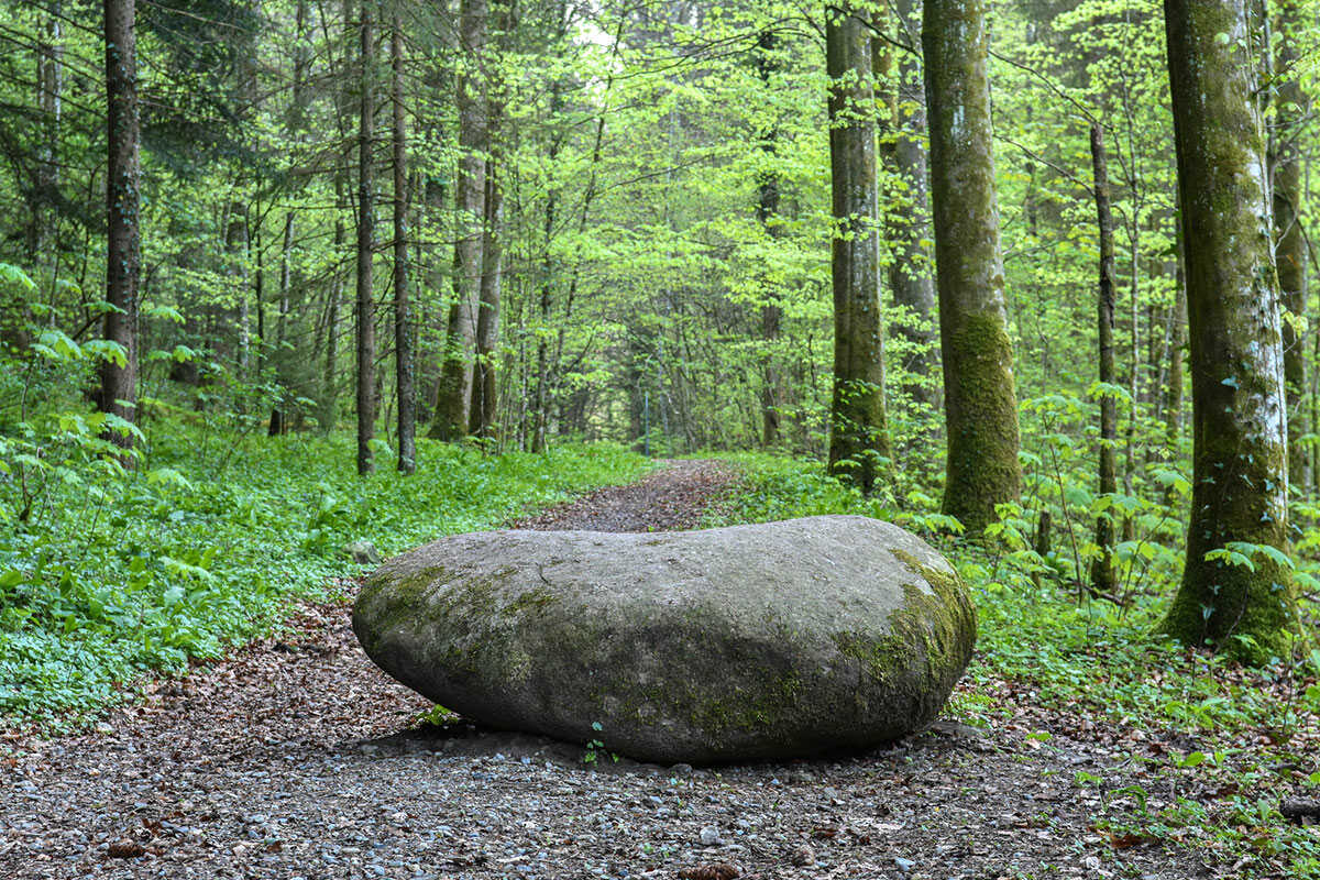 Der sprichwörtliche Stein im Weg