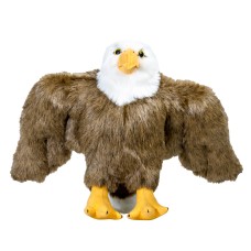 Adler Weisskopfadler Ansgar
