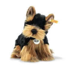Hund Yorkshire Terrier